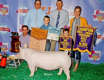 GRAND CHAMPION YORK – 2017 NJSA Eastern Regional