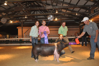 GRAND CHAMPION MARKET HOG – 2017 Stark Co. Fair, OH