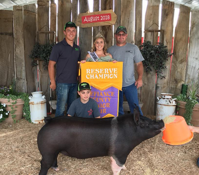 RESERVE GRAND CHAMPION – 2018 Defiance County Open, OH