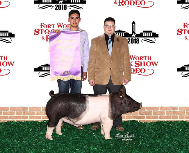 GRAND CHAMPION OVERALL – 2018 Fort Worth Stock Show