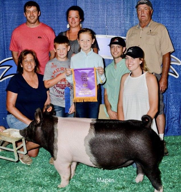CHAMPION DIVISION 3 DARK CROSS BARROW –  2019 Ohio State Fair Jr Show