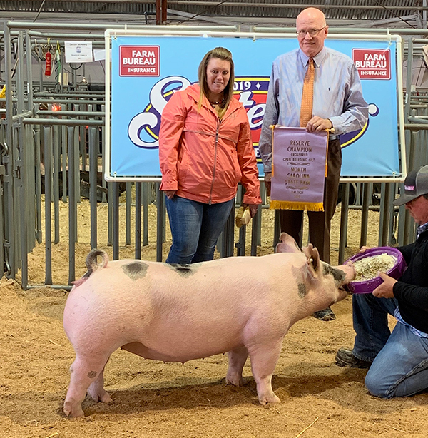 RESERVE BREEDING GILT – 2019 North Carolina State Fair