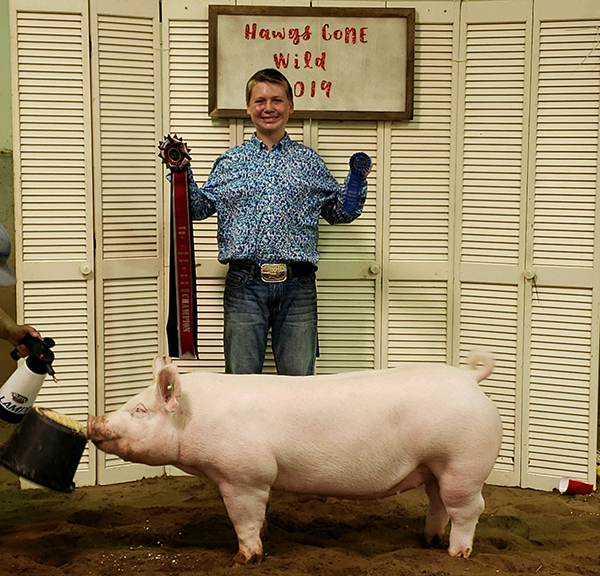 CHAMPION YORKSHIRE GILT – 2019 Hawgs Gone Wild Show