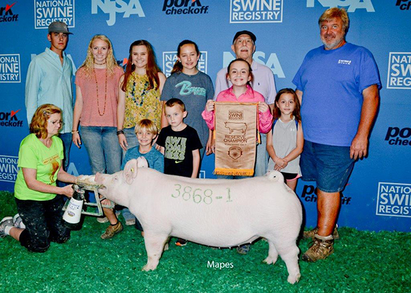 $12,500 STC RESERVE GILT,  CLASS WINNER,3RD Div 3 – 2019 NJSA
