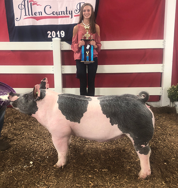 GRAND CHAMPION – 2019 Allen County, OH Open Show