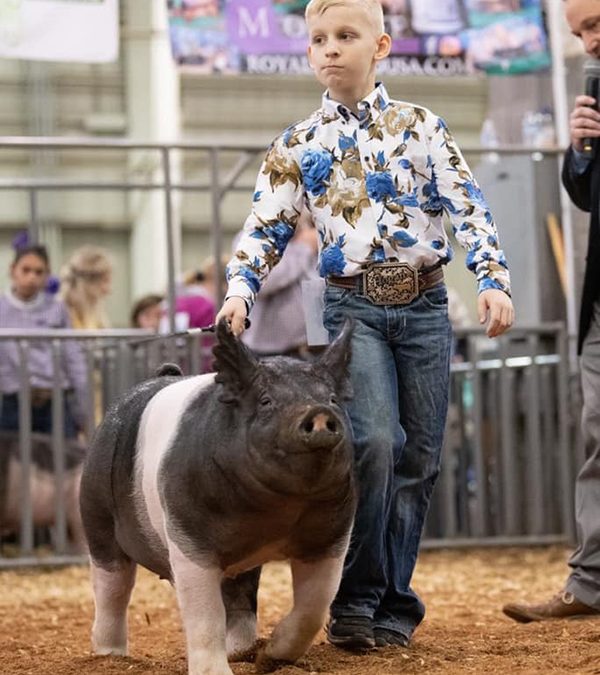 CLASS WINNER – 2019 American Royal, 2019 NAILE