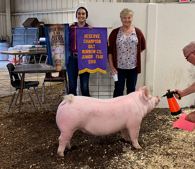 RESERVE CHAMPION BREEDING GILT – 2019 Morrow County Fair