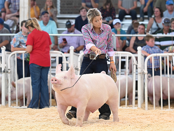 CLASS 9 YORK BARROW WINNER – 2019 The Exposition
