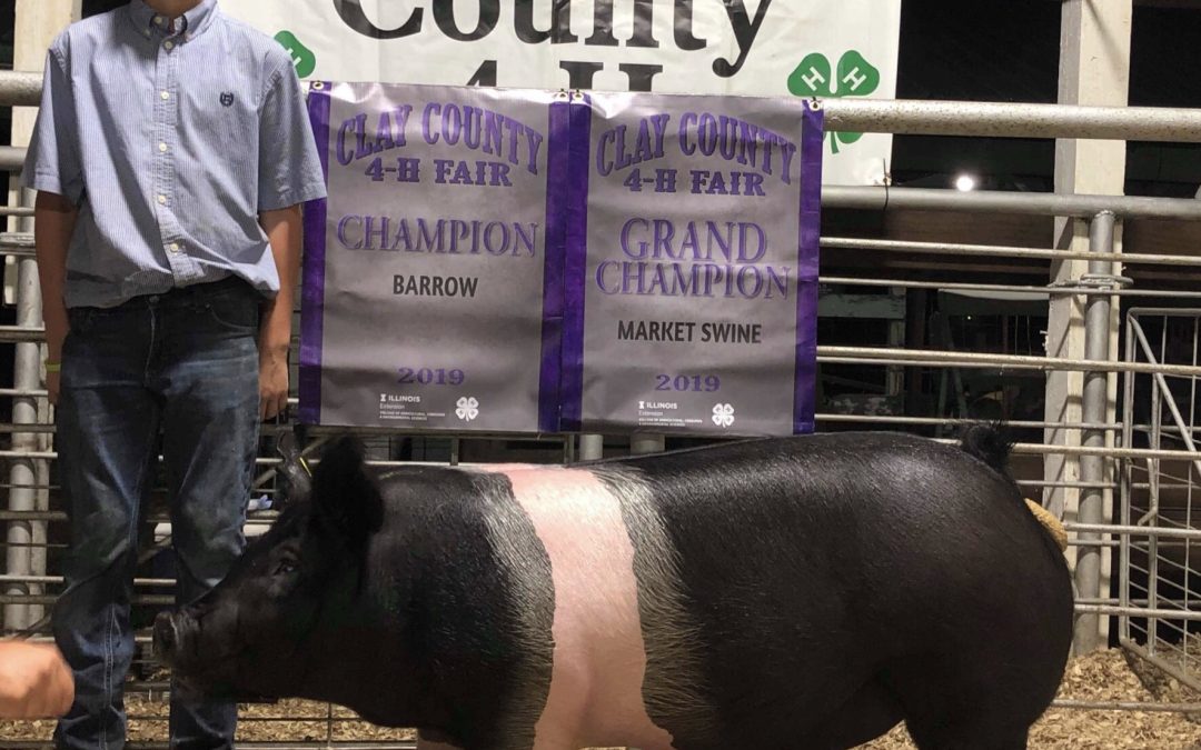 GRAND OVERALL – 2019 Clay Co 4H Junior Show, IL