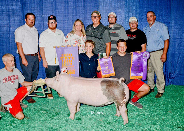 RESERVE CHAMPION OVERALL – 2019 Ohio State Fair Jr Barrow Show