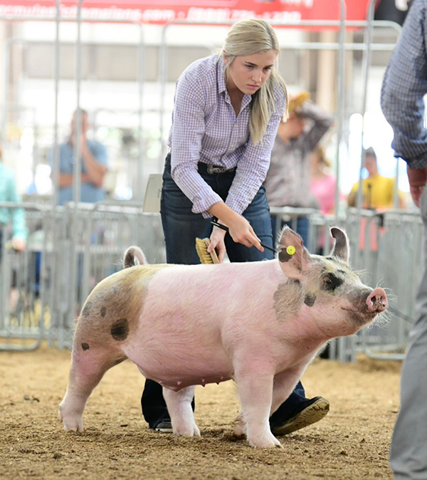 CLASS WINNER – 2021 Ohio State Fair Jr Barrow Show