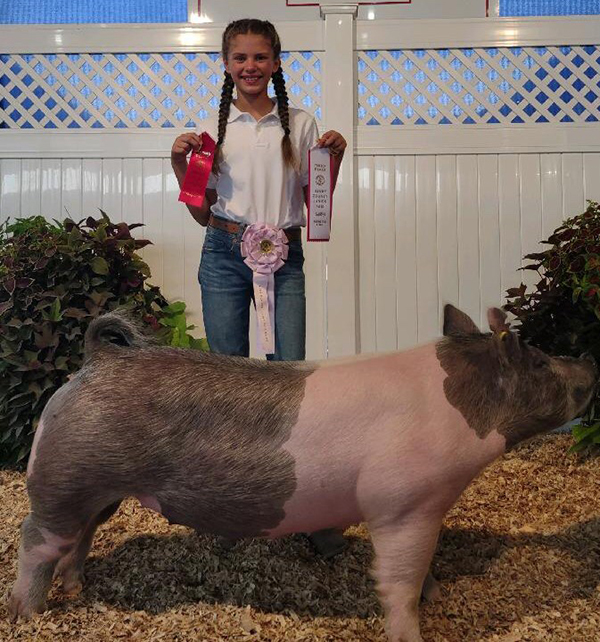 RESERVE MIDDLEWEIGHT GILT – 2021 Henry County, OH