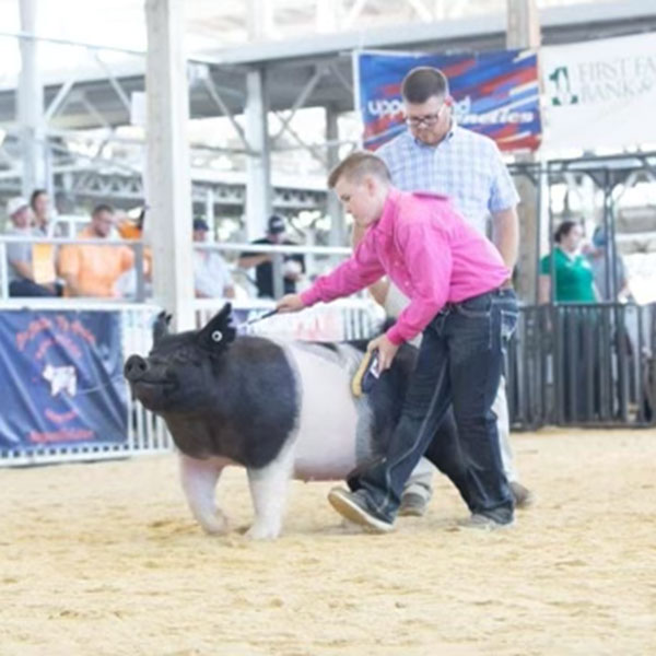 CLASS 29 WINNER CROSS GILT – 2022 Exposition
