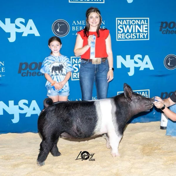 CLASS 12 WINNER CROSS GILT – 2022 Exposition