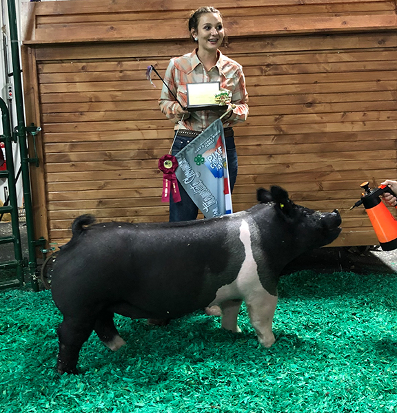 RESERVE DIVISION IV GILT – 2021 Pike County Fair, OH