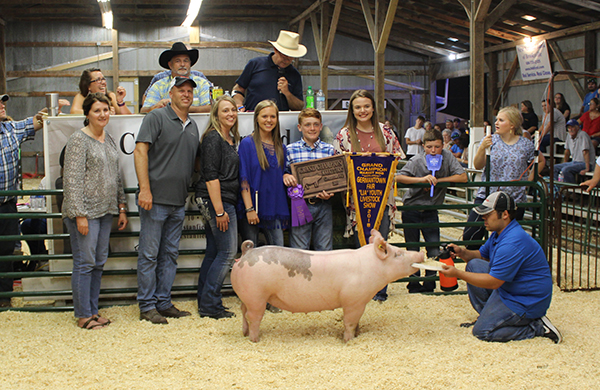 GRAND CHAMPION – 2018 Germantown Fair
