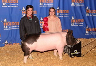 2ND PLACE BARROW – 2014 Houston Livestock Show