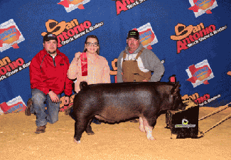 2ND PLACE DARK CROSS – 2015 San Antonio Stock Show