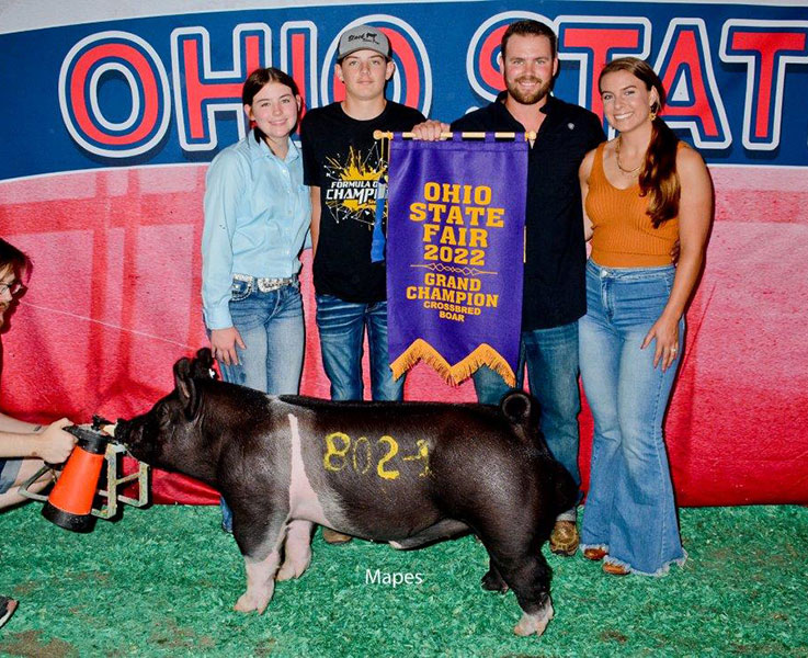 GRAND CROSSBRED BOAR – 2022 Ohio State Fair
