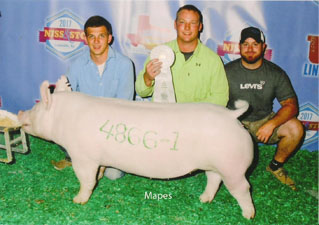 $10,000 CLASS WINNER – 2017 STC