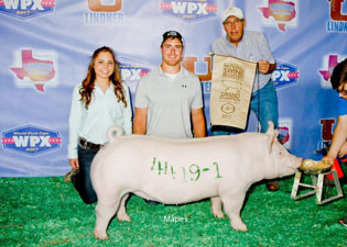 7,000 GRAND CHAMPION YORKSHIRE GILT – 2017 WPX – Des Moines, IA