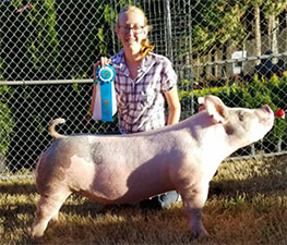 CHAMPION LIGHTWEIGHT MARKET HOG – 2017 Columbia County Oregon