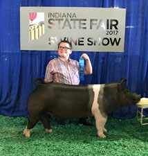 CLASS WINNING BARROW – 2017 Indiana State Fair