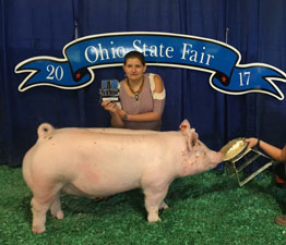 DIVISION 2 RESERVE CHAMPION LIGHT – 2017 Ohio State Fair