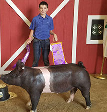 GRAND CHAMPION – 2017 Sanilac Co, MI