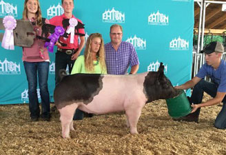 GRAND CHAMPION GILT – 2017 Eaton County Fair, MI