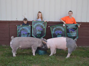 GRAND CHAMPION GILT & BARROW – 2017 Clare County Fair, MI