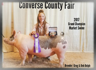 GRAND CHAMPION MARKET SWINE – 2017 Converse County Fair