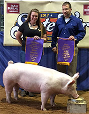 GRAND CHAMPION OVERALL OPEN BREEDING GILT – 2017 North Carolina State Fair