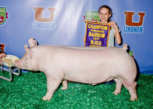 GRAND CHAMPION YORK BARROW – 2017 NJSA Eastern Regional