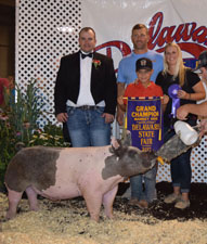 GRAND OVERALL – 2017 Delaware State Fair