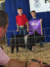 GRAND OVERALL – 2017 Rock Head