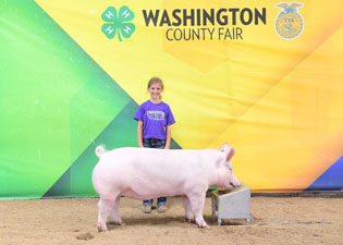 GRAND YORK BREEDING GILT & RESERVE OVERALL – 2017 Washington County