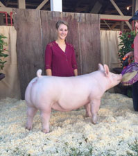 GRAND YORK GILT RESERVE OVERALL – 2017 MO Jackpot