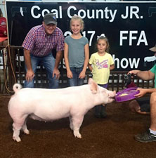 MULITPLE CHAMPION YORK OVERALL – 2017 Oklahoma Jackpots