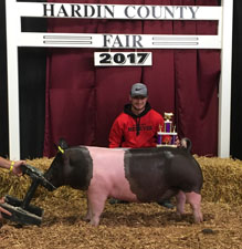 RESERVE CHAMPION DIVISION 2 – 2017 Hardin County Fair