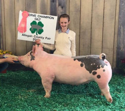 RESERVE CHAMPION GILT – 2017 Allegan County Fair, MI