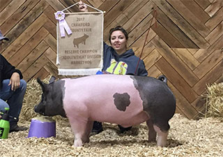 RESERVE CHAMPION MIDDLEWEIGHT MARKET HOG – 2017 Crawford County, PA
