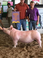 RESERVE CHAMPION MARKET HOG – 2017 Lawrence County Fair