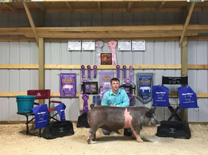 RESERVE CHAMPION OVERALL – 2017 St Joe County 4-H Fair Indiana