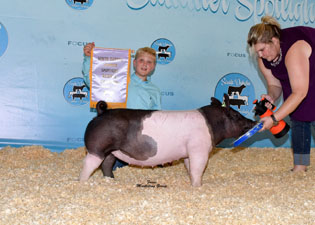 RESERVE CHAMPION OVERALL PROSPECT GILT – 2017 South Dakota Summer Spotlight