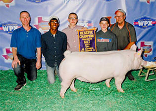 RESERVE GRAND YORK GILT – 2017 WPX Jr National