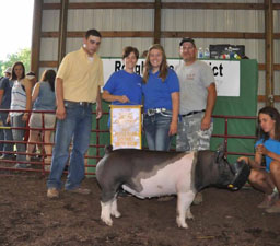 RESERVE OVERALL – 2017 Rough River District Swine Show