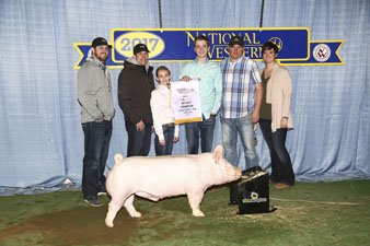 RESERVE YORKSHIRE – 2017 National Western – Denver