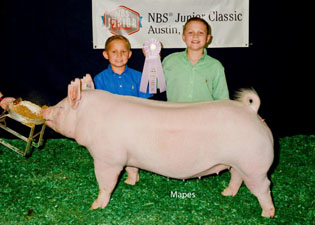 RESERVE YORK GILT – 2017 NBS Junior Classic
