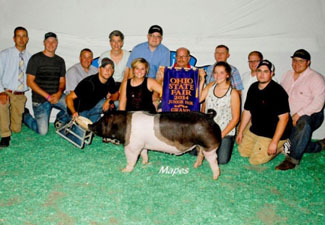 GRAND OVERALL BARROW – 2014 Ohio State Fair Jr. Show